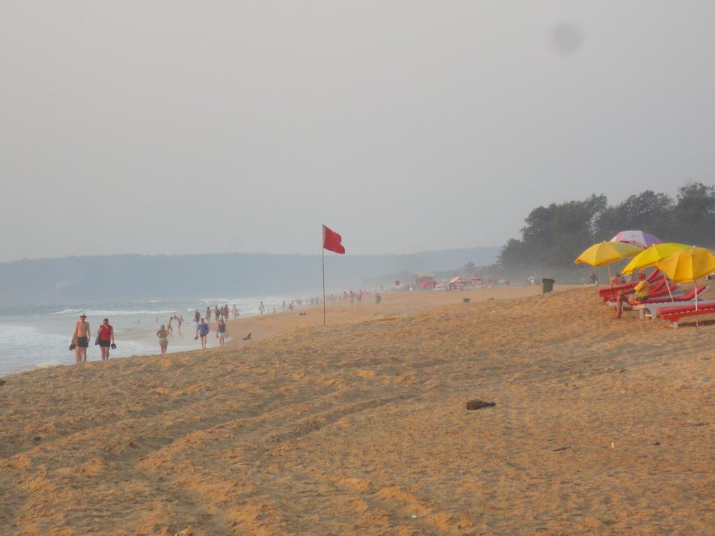 Guest house Sea Pearl 3*