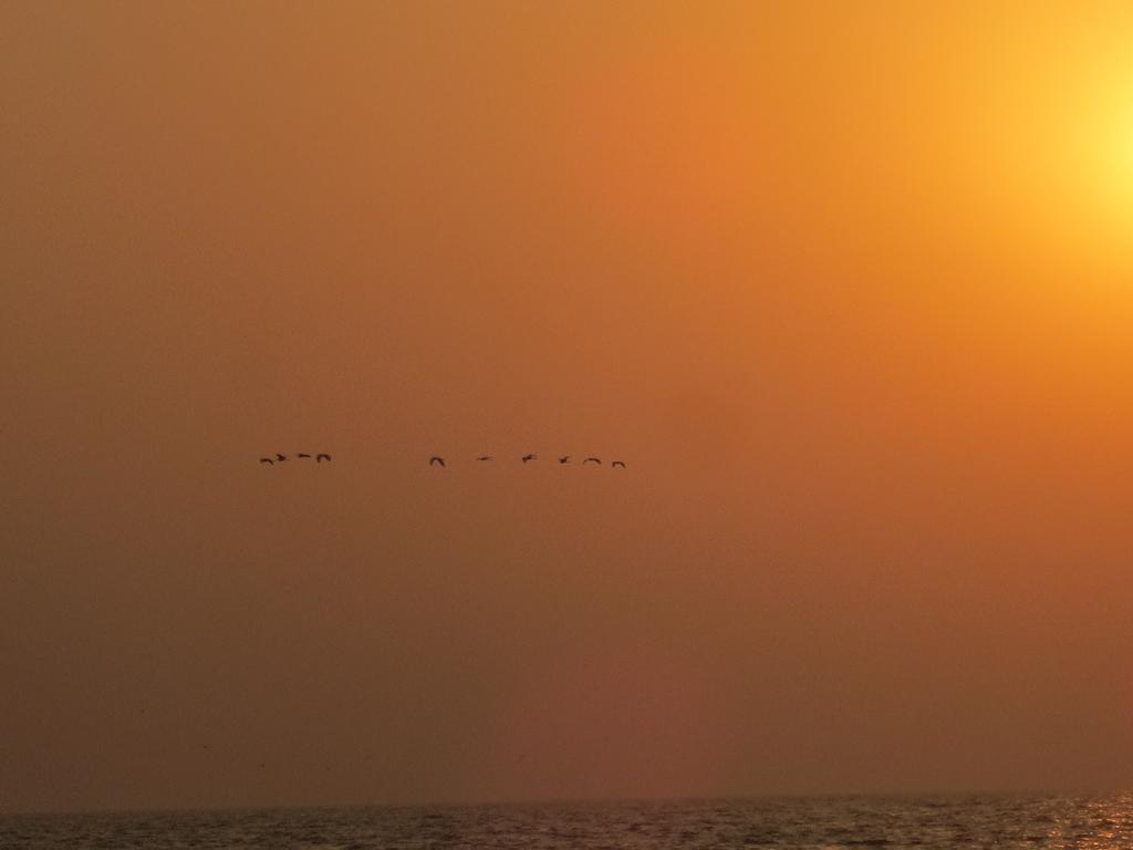 Sea Pearl Candolim